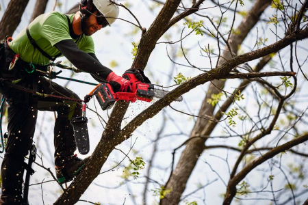 Цепная пила Milwaukee M18 FHS20-0 4933480117