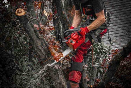 Пила цепная аккумуляторная MILWAUKEE M18 FTHCHS35-802, 4933499222