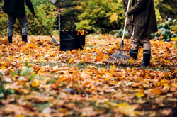Грабли Fiskars FSC 1011611